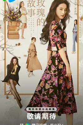 宿舍风云 电视剧 2025